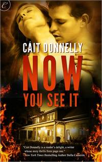 Now You See It by Cait Donnelly