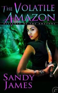 The Volatile Amazon by Sandy James