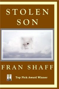 Stolen Son by Fran Shaff
