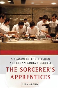 The Sorcerer's Apprentices by Lisa Abend