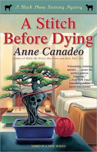 A Stitch Before Dying by Anne Canadeo