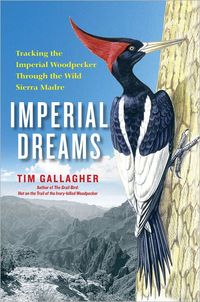 Imperial Dreams by Tim Gallagher