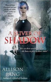 A Sliver Of Shadow by Allison Pang