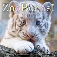 Zooborns! by Chris Eastland