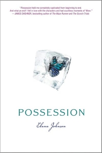 Possession by Elana Johnson