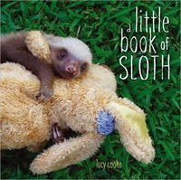 A Little Book Of Sloth by Lucy Cooke