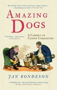 Amazing Dogs by Jan Bondeson