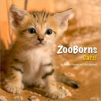 Zooborns Cats! by Chris Eastland