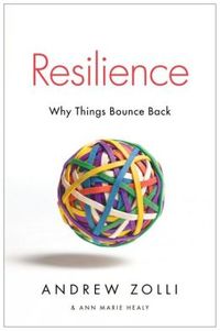 Resilience by Ann Marie Healy