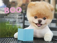 Boo by J.H. Lee