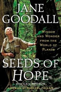 Seeds of Hope by Gail Hudson