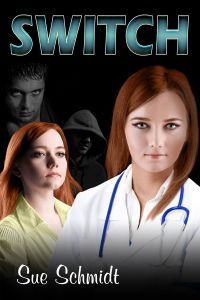 Switch by Sue Schmidt