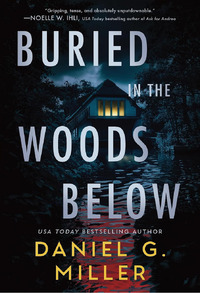 Buried in the Woods Below