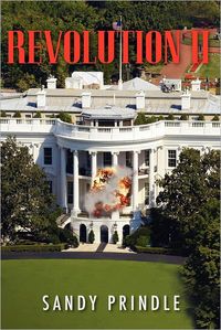 Revolution II by Sandy Prindle