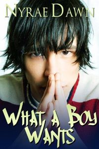 What A Boy Wants by Nyrae Dawn