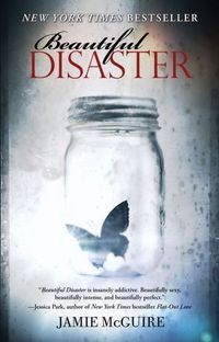 Beautiful Disaster by Jamie McGuire