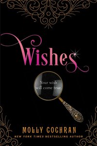 Excerpt of Wishes by Molly Cochran