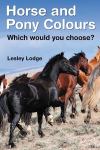 Horse And Pony Colours by Lesley Lodge
