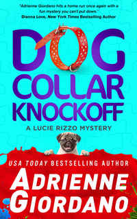 Dog Collar Knockoff