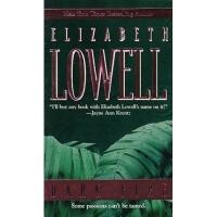 Dark Fire by Elizabeth Lowell