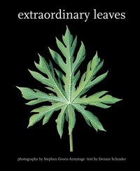Extraordinary Leaves by Dennis Schrader