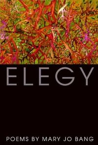 Elegy by Mary Jo Bang