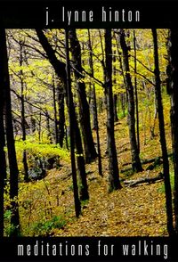 Meditations For Walking by Lynne Hinton