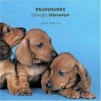 Dachshunds by Sharon Montrose
