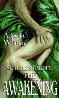 No Holes Barred 3: The Awakening by Angelia Whiting