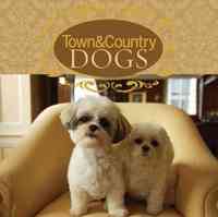Town & Country Dogs by Susan K. Hom