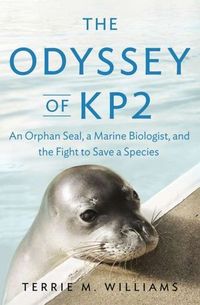 The Odyssey Of KP2