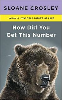 How Did You Get This Number by Sloane Crosley