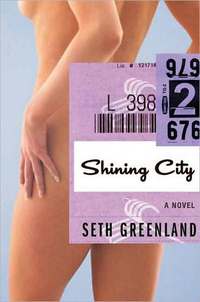 Shining City by Seth Greenland