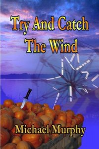 Try And Catch The Wind