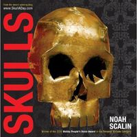 Skulls by Noah Scalin