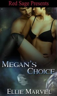 Megan?s Choice by Jody Wallace