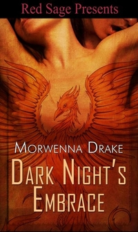 Dark Night's Embrace by Morwenna Drake