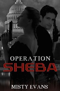 Excerpt of Operation Sheba by Misty Evans