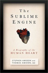The Sublime Engine by Stephen Amidon