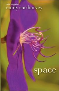 Space by Emily Sue Harvey
