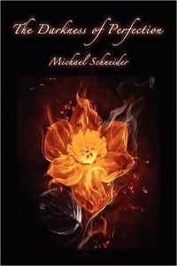 The Darkness of Perfection by Michael Schneider