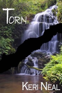 Torn by Keri Neal