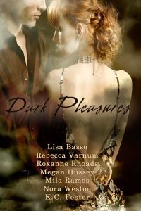 Dark Pleasures by Megan Hussey