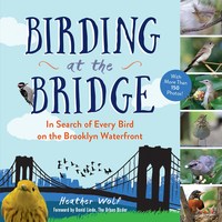 Birding at the Bridge