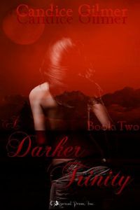 A Darker Trinity by Candice Gilmer