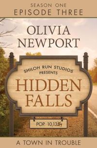 Hidden Falls by Olivia Newport