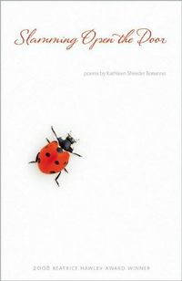 Slamming Open the Door by Kathleen Sheeder Bonanno