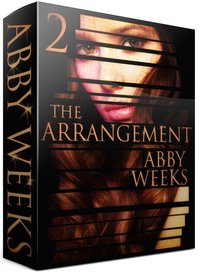 Excerpt of The Arrangement 2 by Abby Weeks