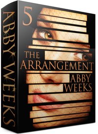 Excerpt of The Arrangement 5 by Abby Weeks