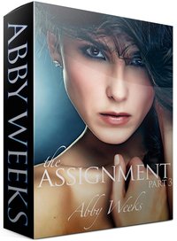 Excerpt of The Assignment 3 by Abby Weeks